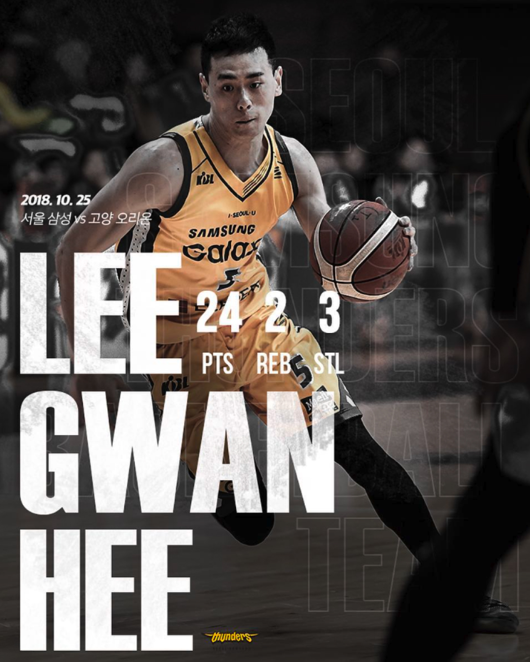 Seoul Samsung Thunders graphic 11