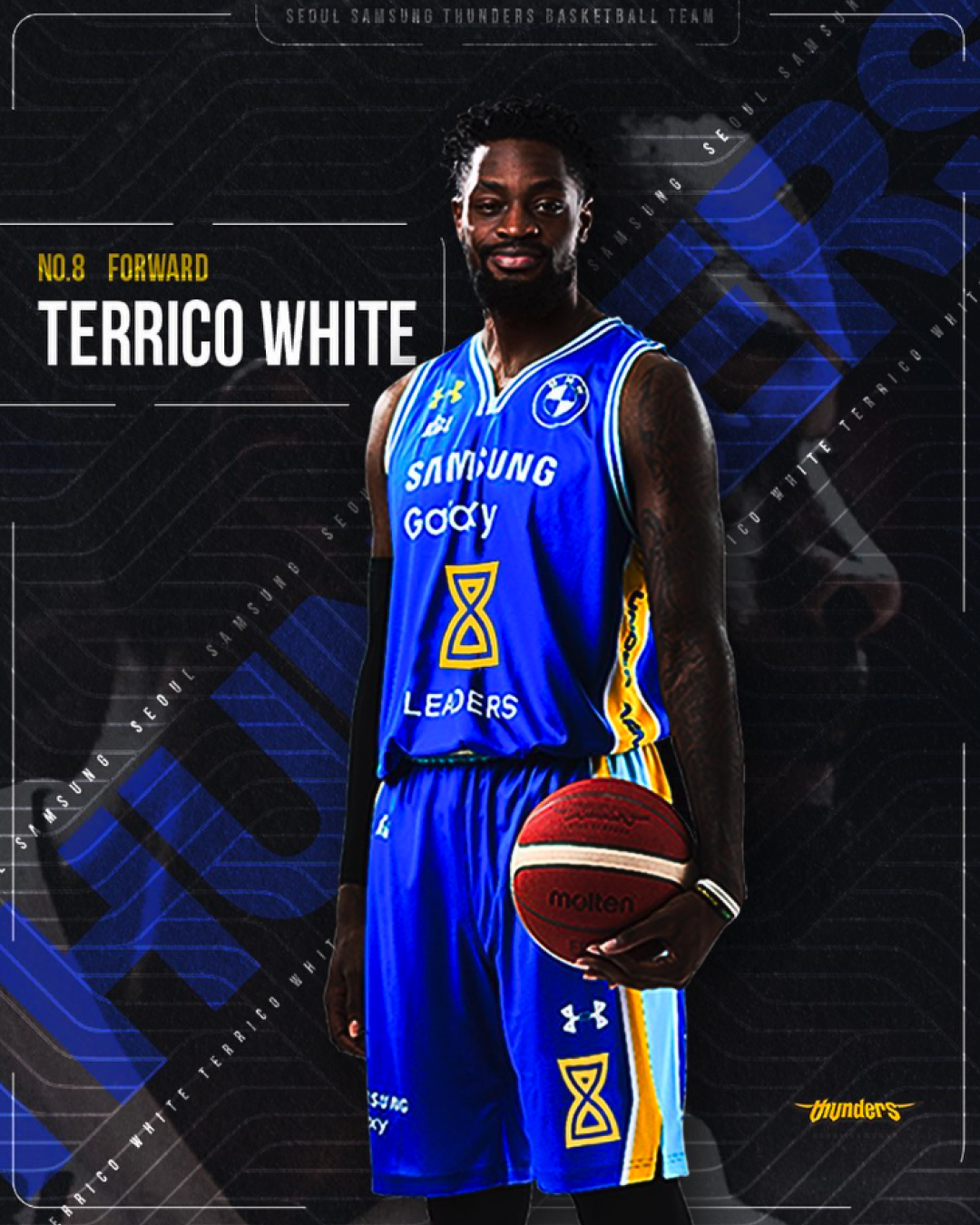 Seoul Samsung Thunders graphic 2